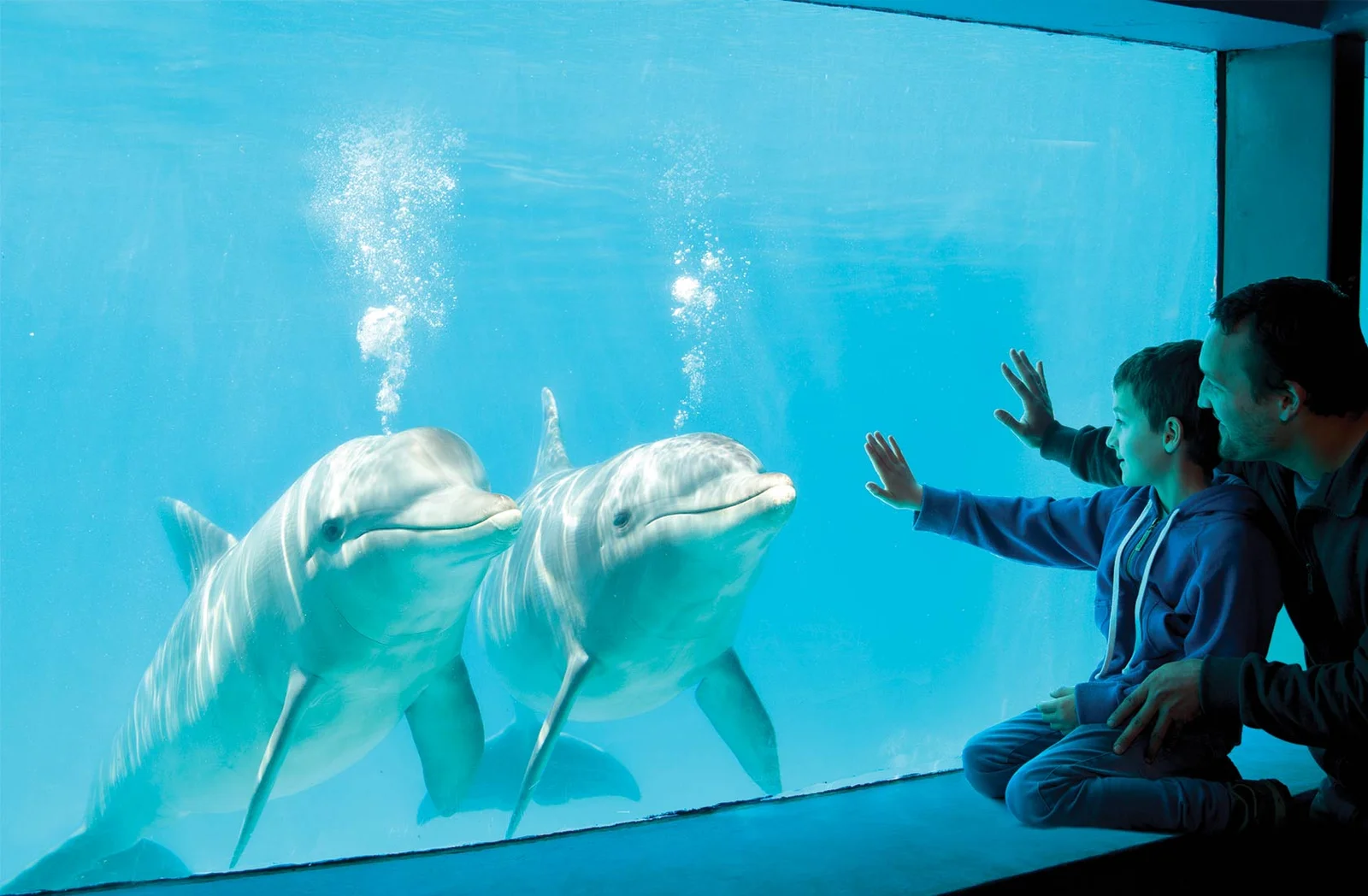 Imagen de Mundo Marino