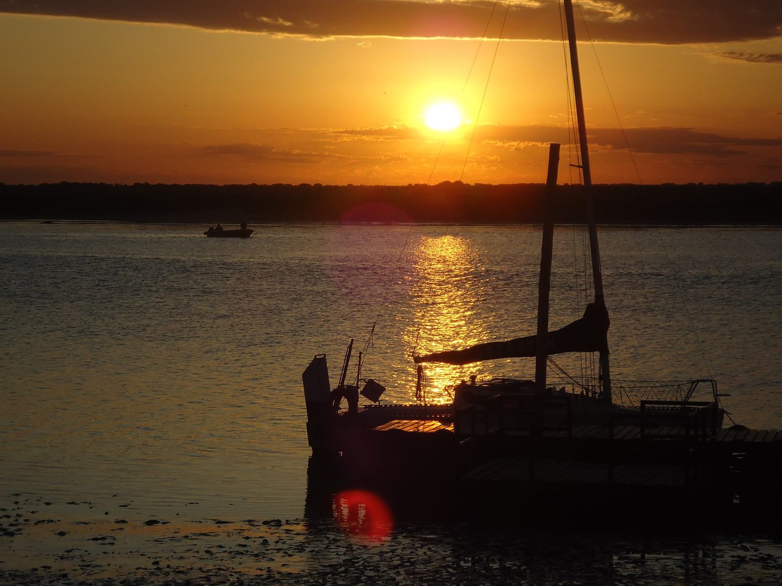 Imagen de Tapera de López