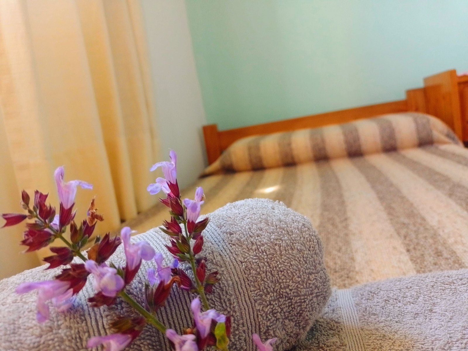 Instalaciones del Hotel Eluney