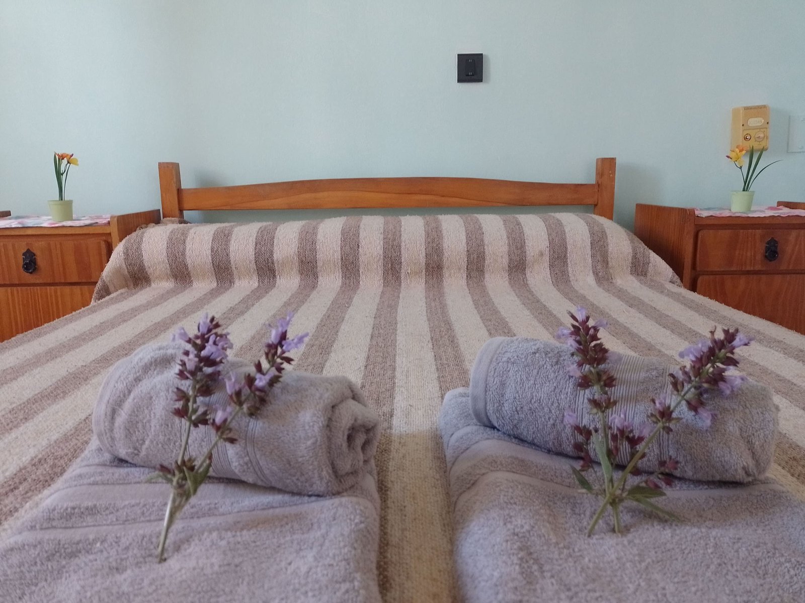 Instalaciones del Hotel Eluney