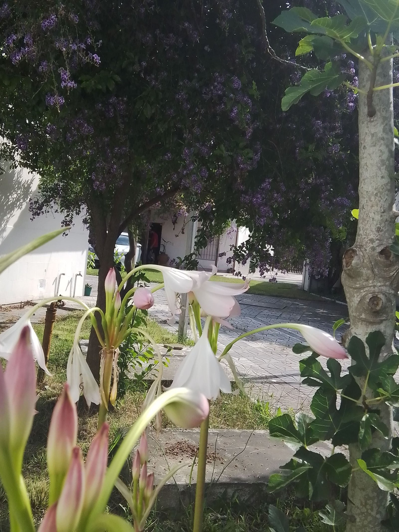 Instalaciones del Hotel Eluney