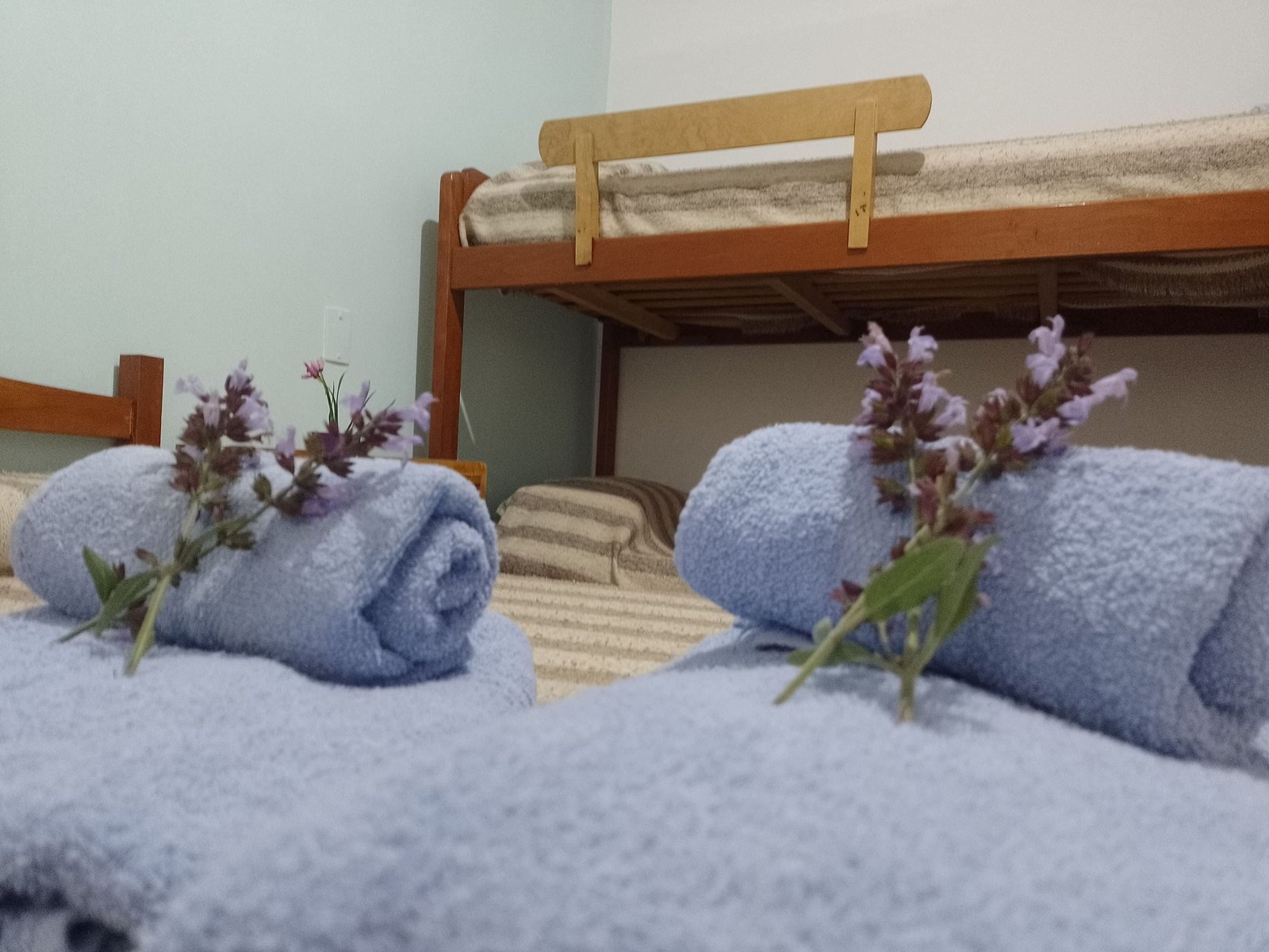 Instalaciones del Hotel Eluney